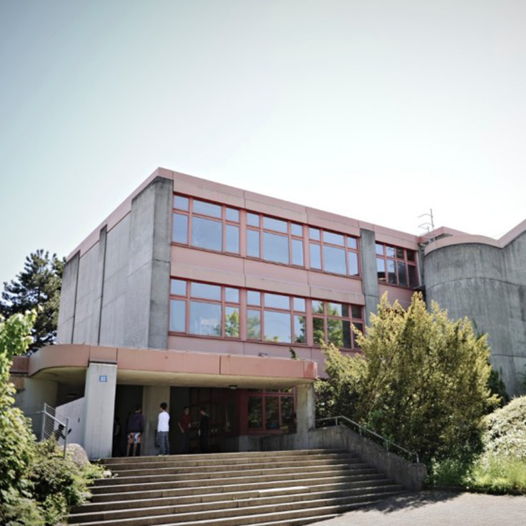 Foto des Schulhauses Borrweg in Zürich